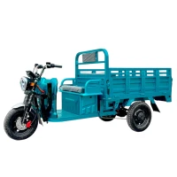 Электротрицикл Rockwild Cargo Pro Q05